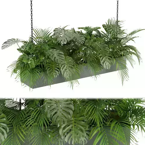 Collection plant vol 306 - indoor - monstera - palm-  3D model