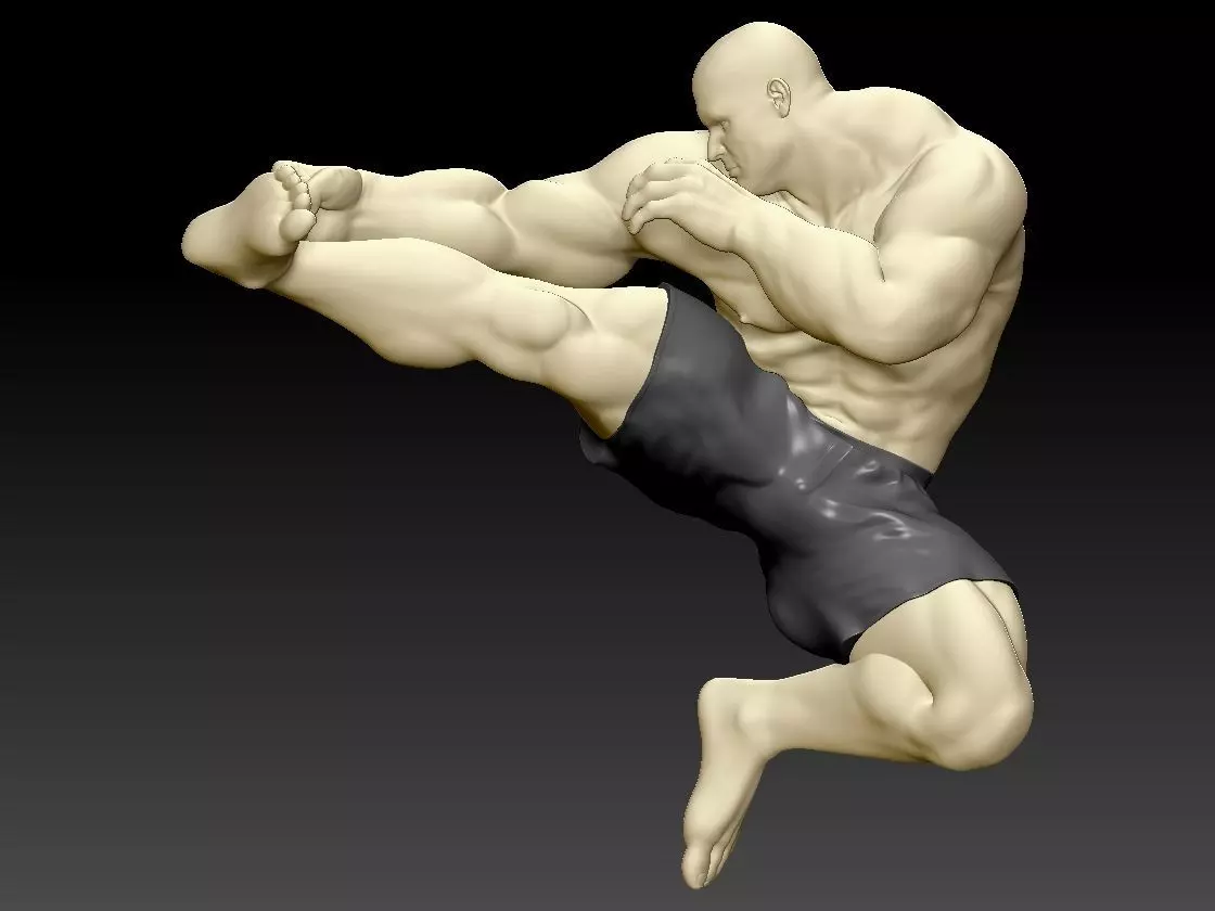 Kick Punch man 3D print model