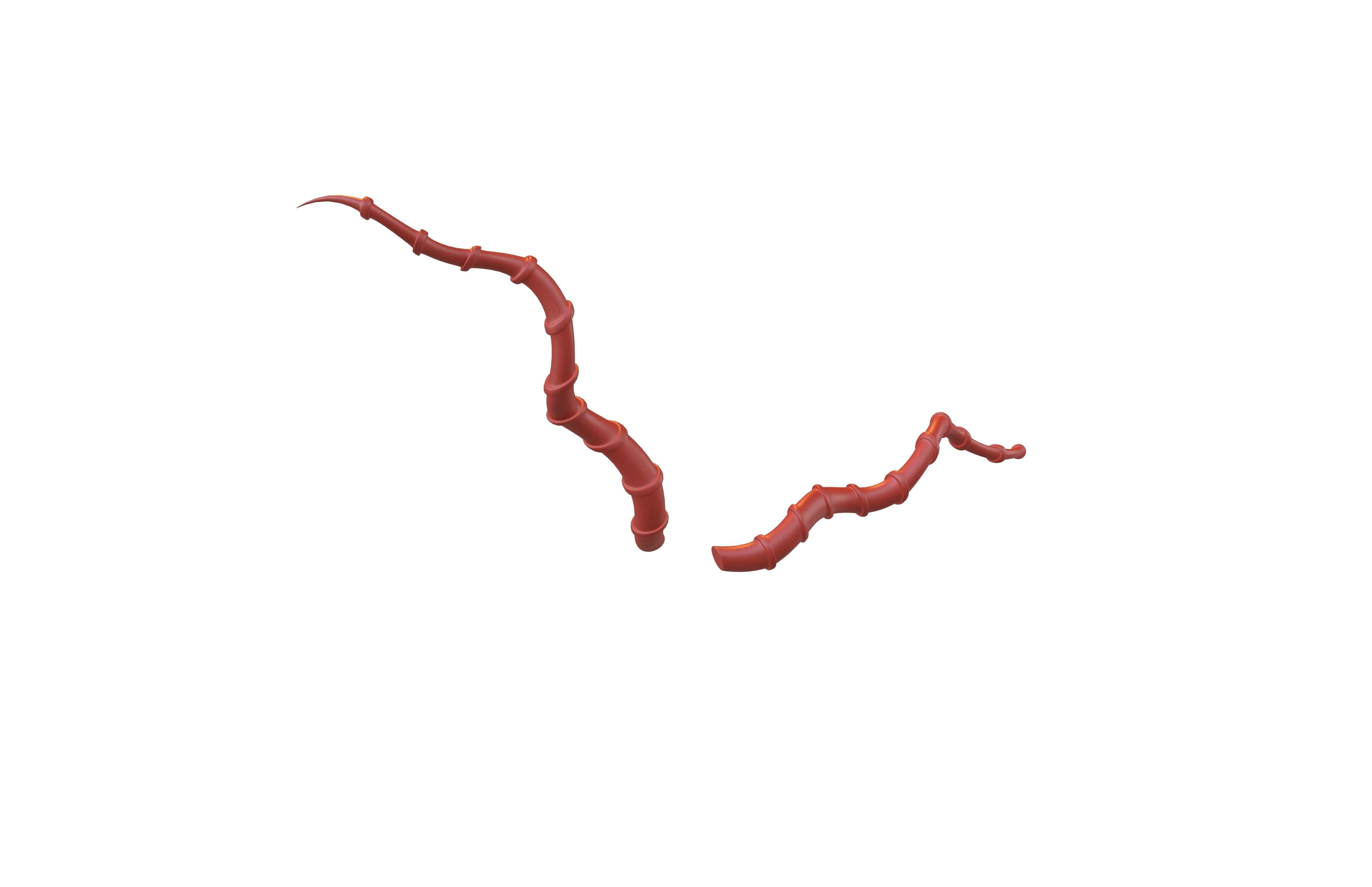 Demon Horn v4 003 Low-poly 3D model_2