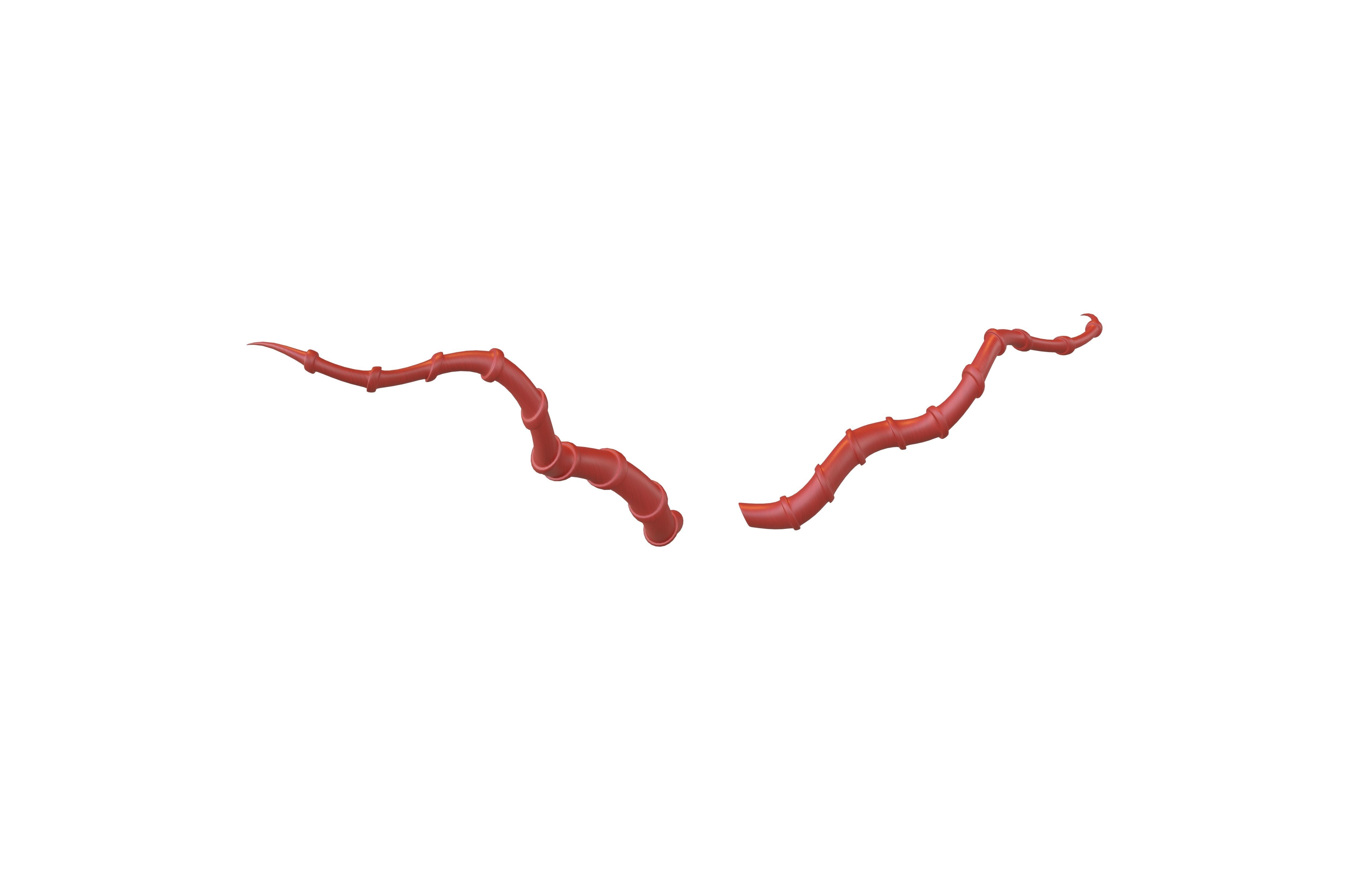 Demon Horn v4 003 Low-poly 3D model_3