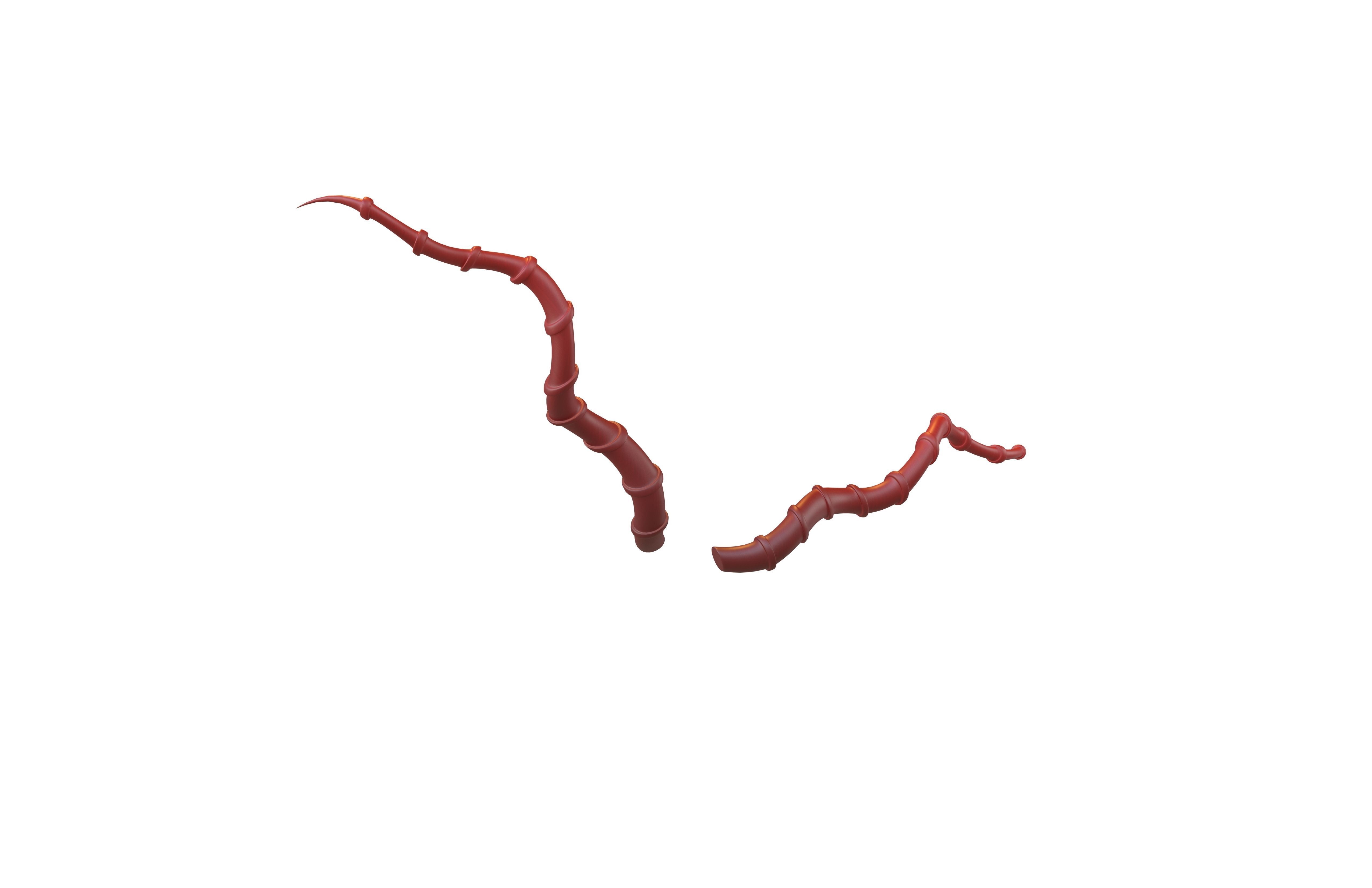 Demon Horn v4 004 Low-poly 3D model_3