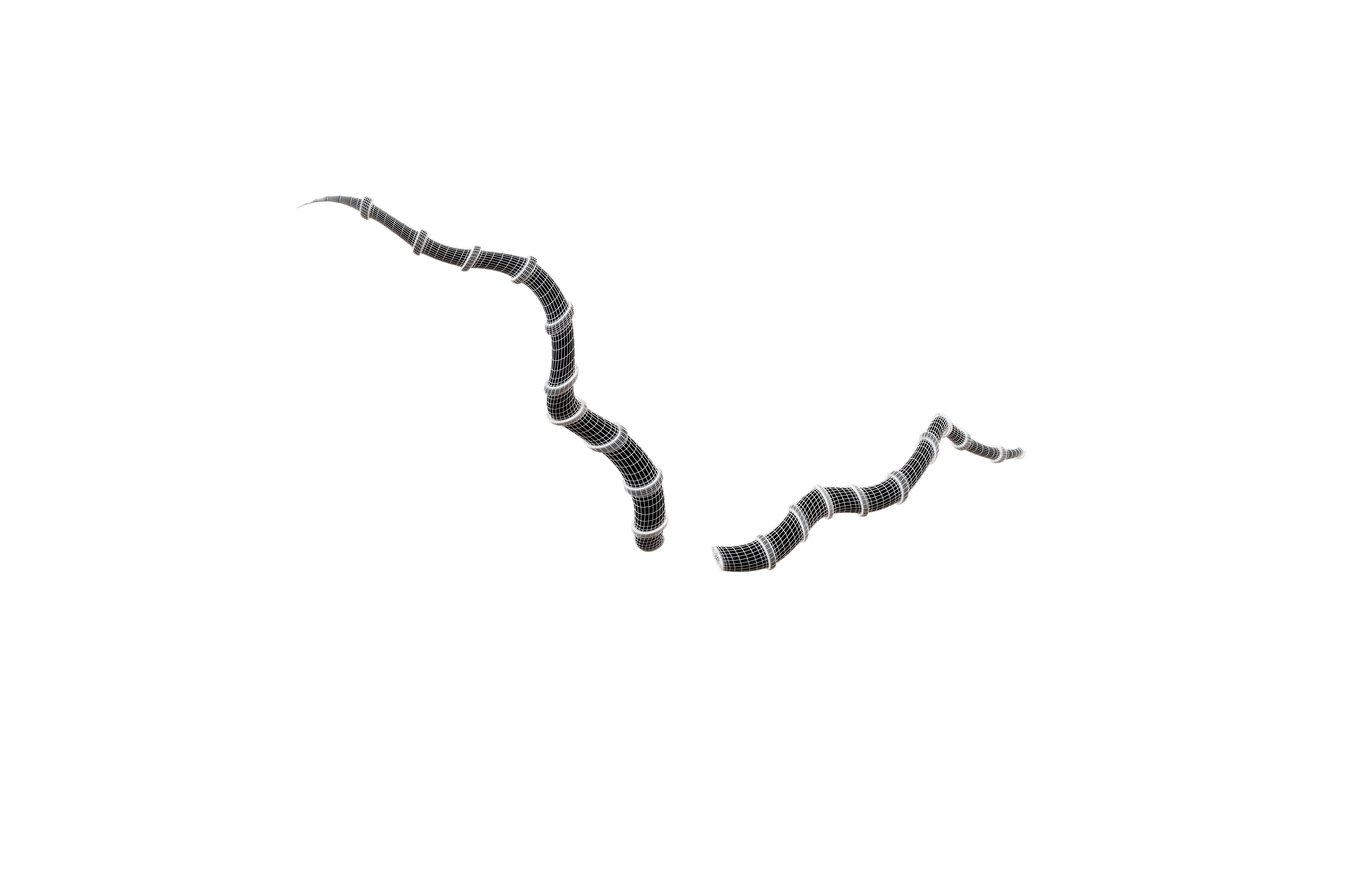 Demon Horn v4 005 Low-poly 3D model_7