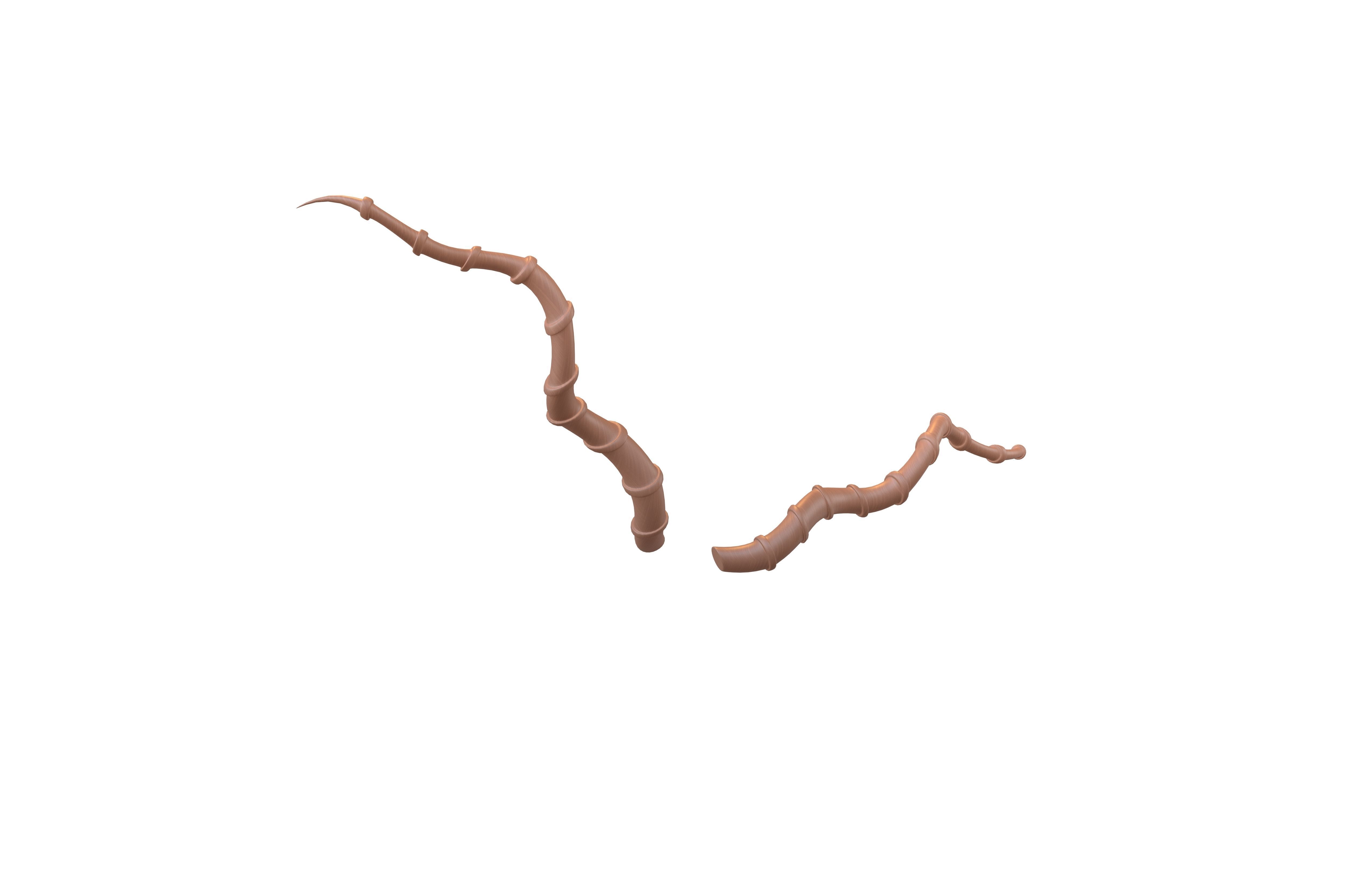 Demon Horn v4 005 Low-poly 3D model_3