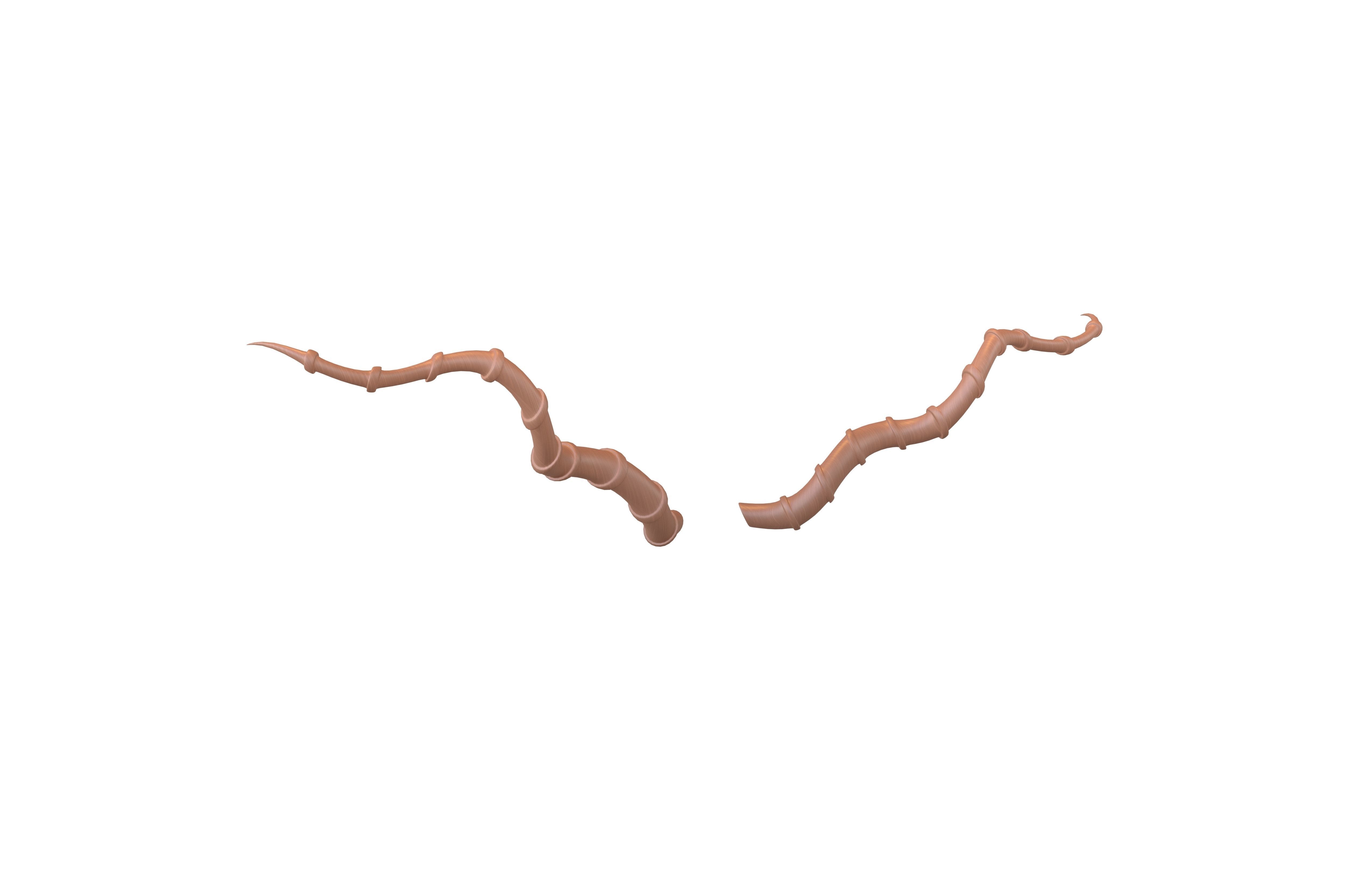 Demon Horn v4 005 Low-poly 3D model_1