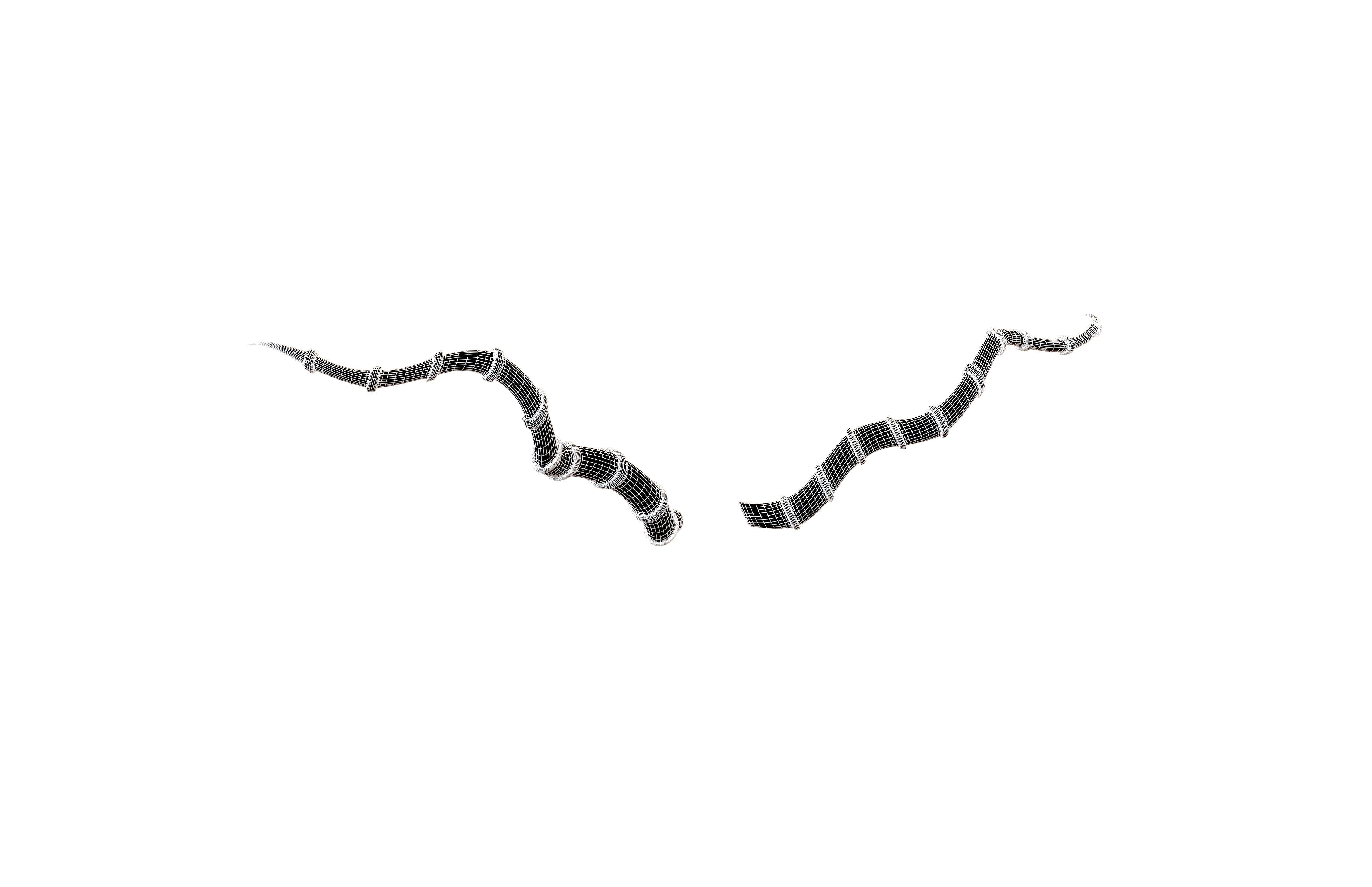 Demon Horn v4 006 Low-poly 3D model_5