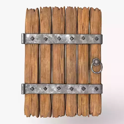 Old Medieval and Vintage Wooden Door