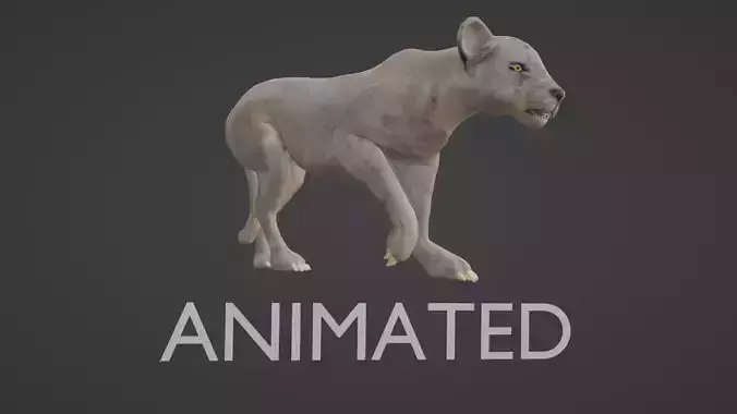 LIONESS ANIMATED