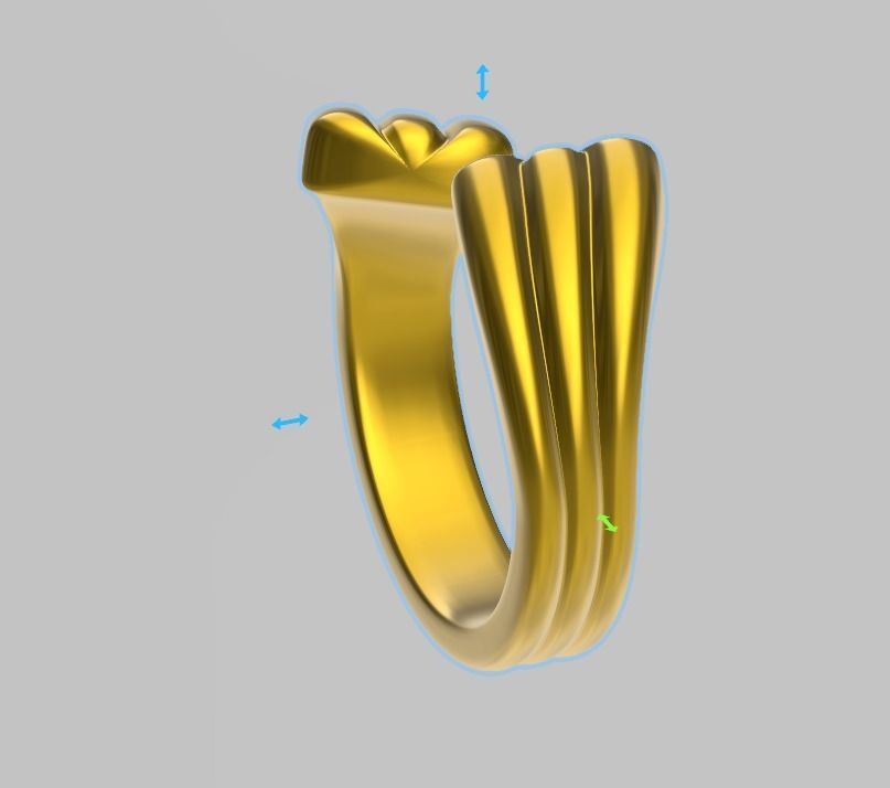 bypass ring  US 1 to 13 sizes  stl verified 3D print model_1