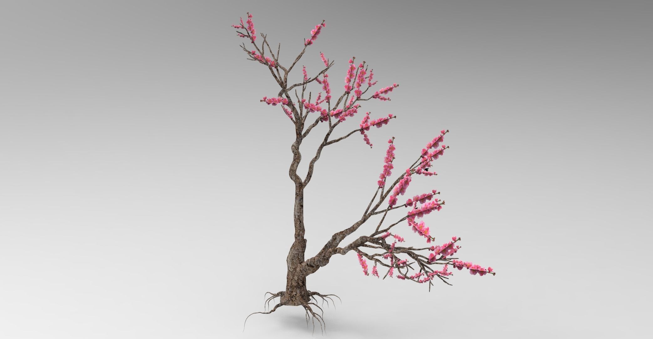 Peach tree 3d model Low-poly 3D model_11