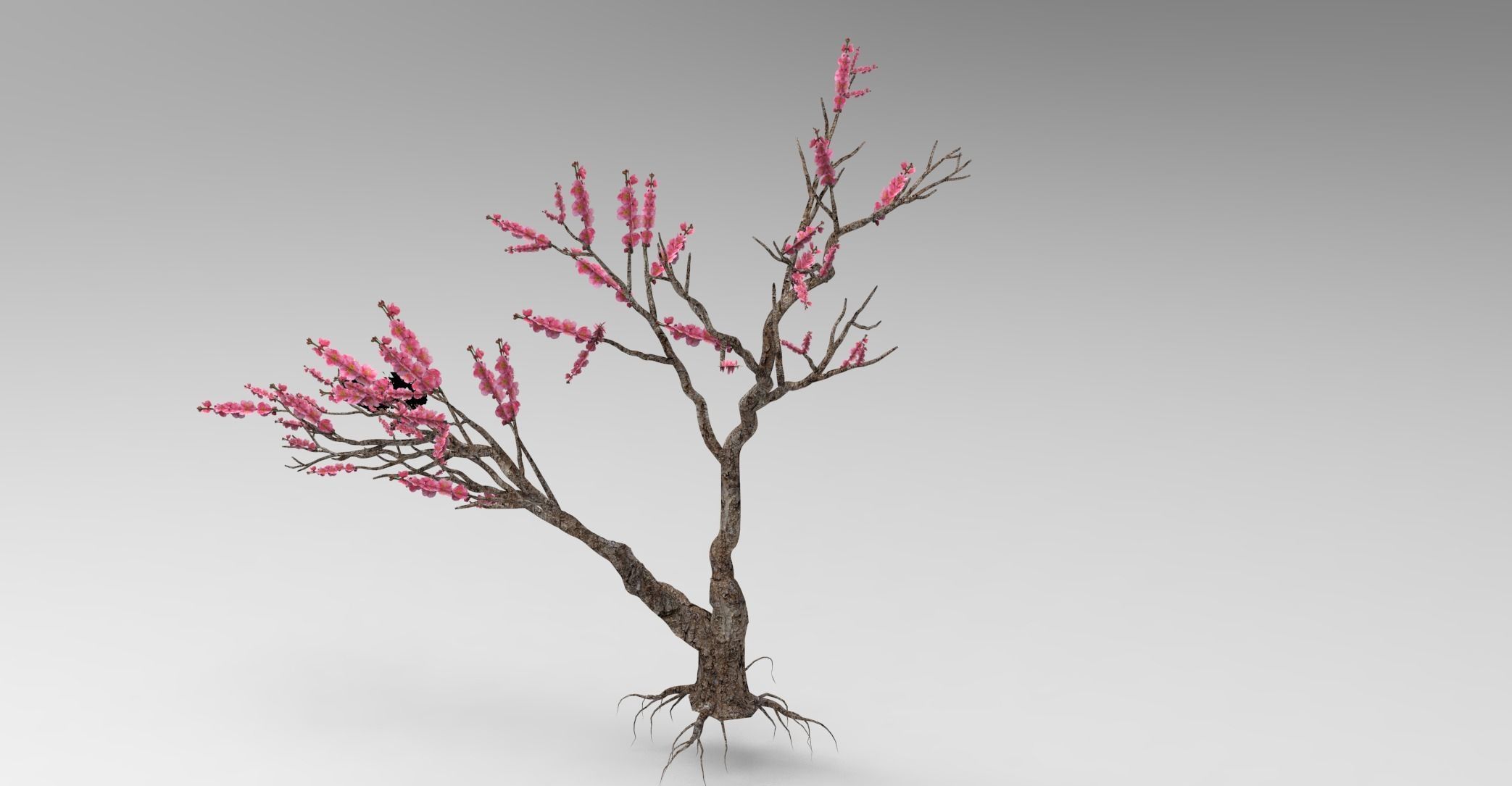 Peach tree 3d model Low-poly 3D model_9