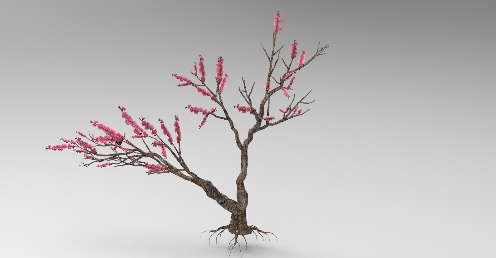 Peach tree 3d model Low-poly 3D model_10
