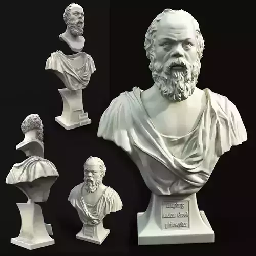 Socrates bust of man with beard 3D print model