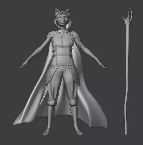 Tabaxi woman in cape
