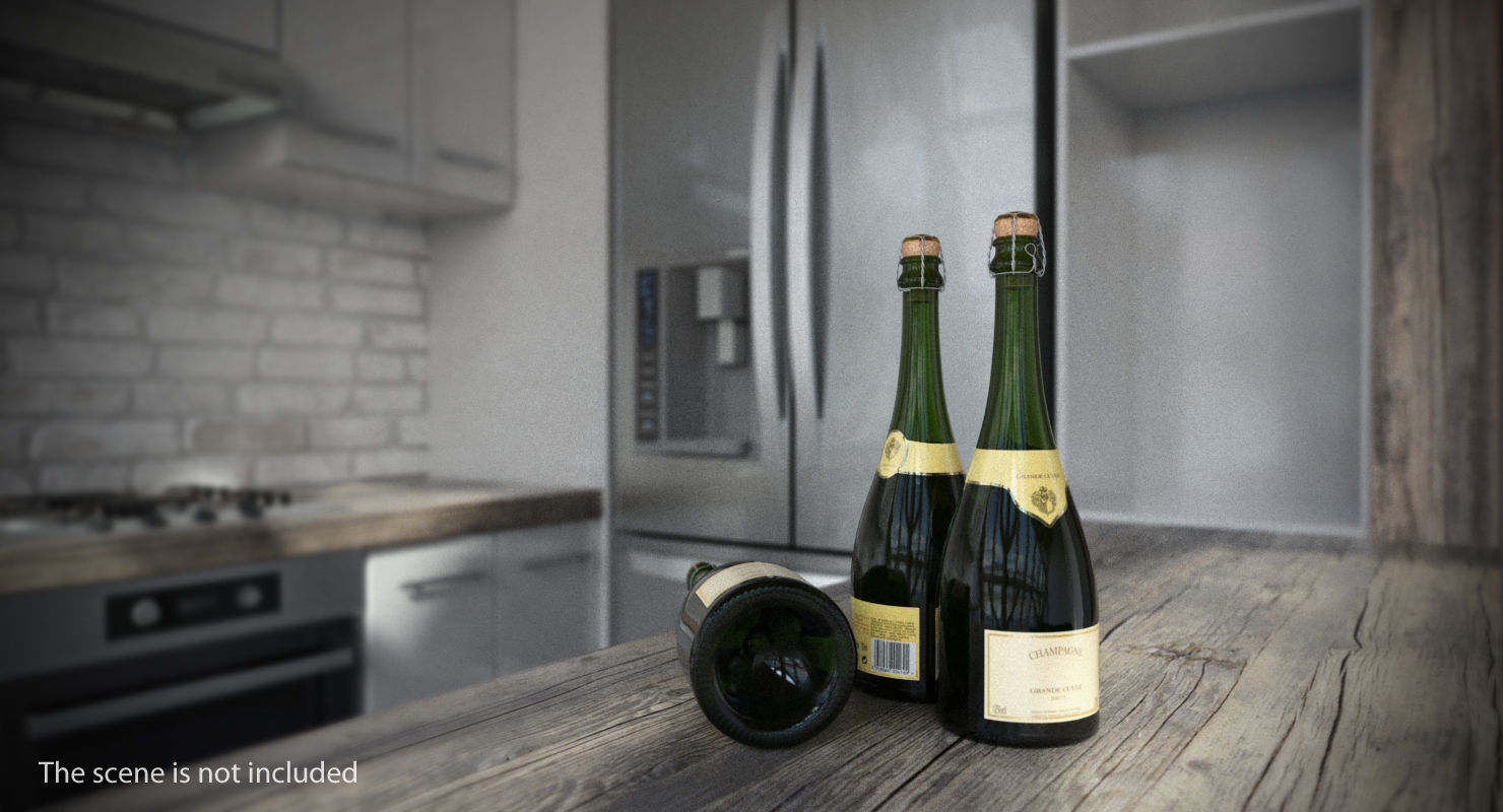 French Champagne Bottle Generic Foil Top Removed 3D model_2