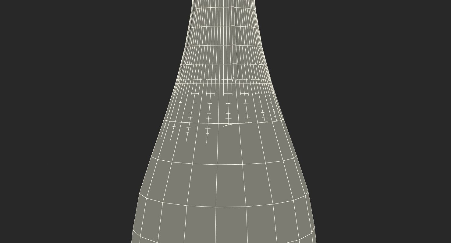 French Champagne Bottle Generic 3D model_21