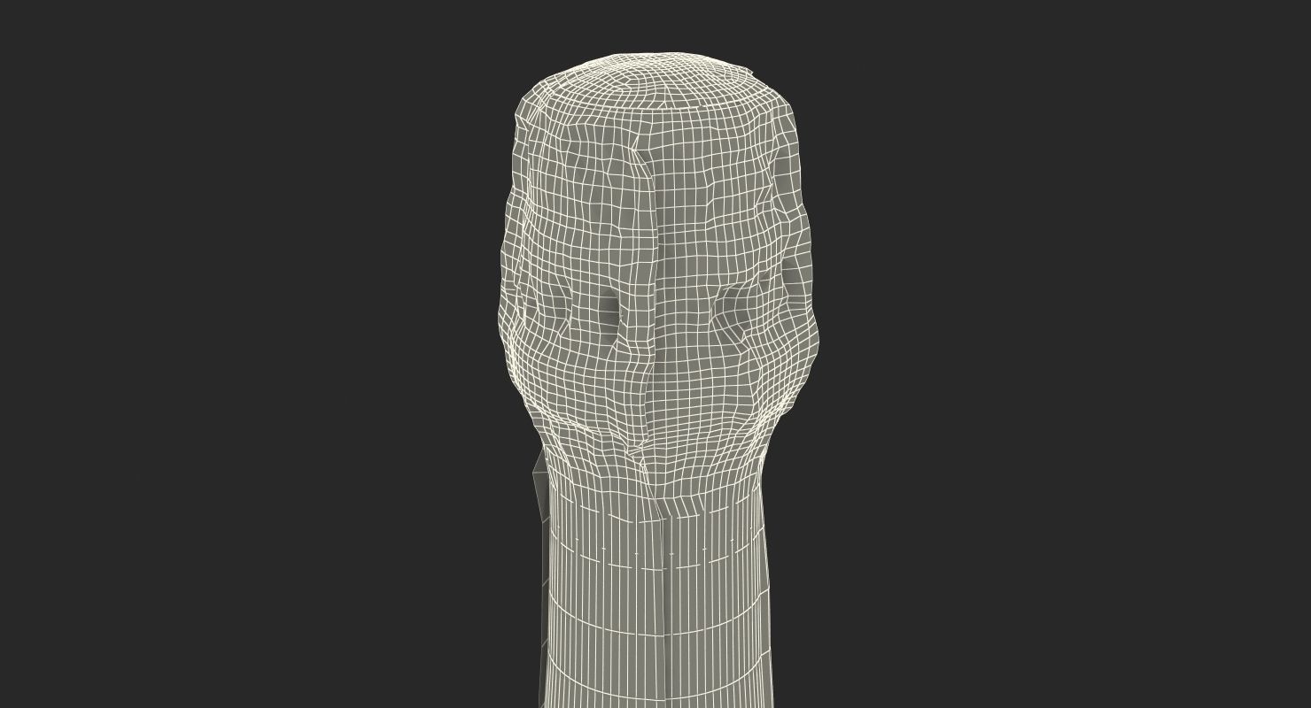 French Champagne Bottle Generic 3D model_19