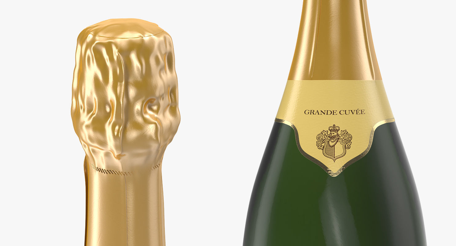 French Champagne Bottle Generic 3D model_10