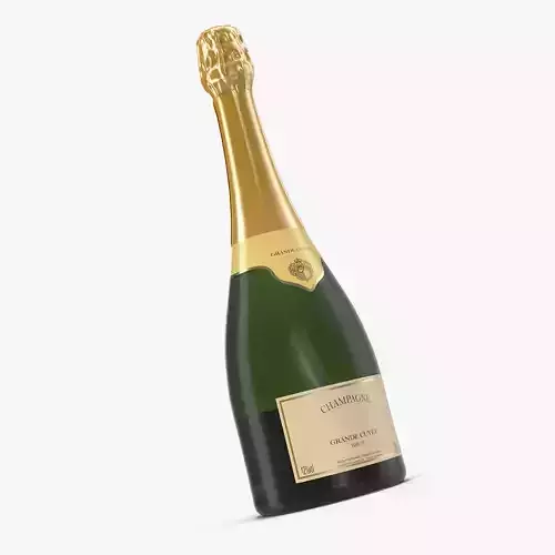 French Champagne Bottle Generic 3D model