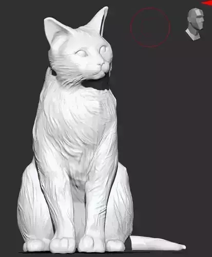 Cat base Base Gato II 3D print model