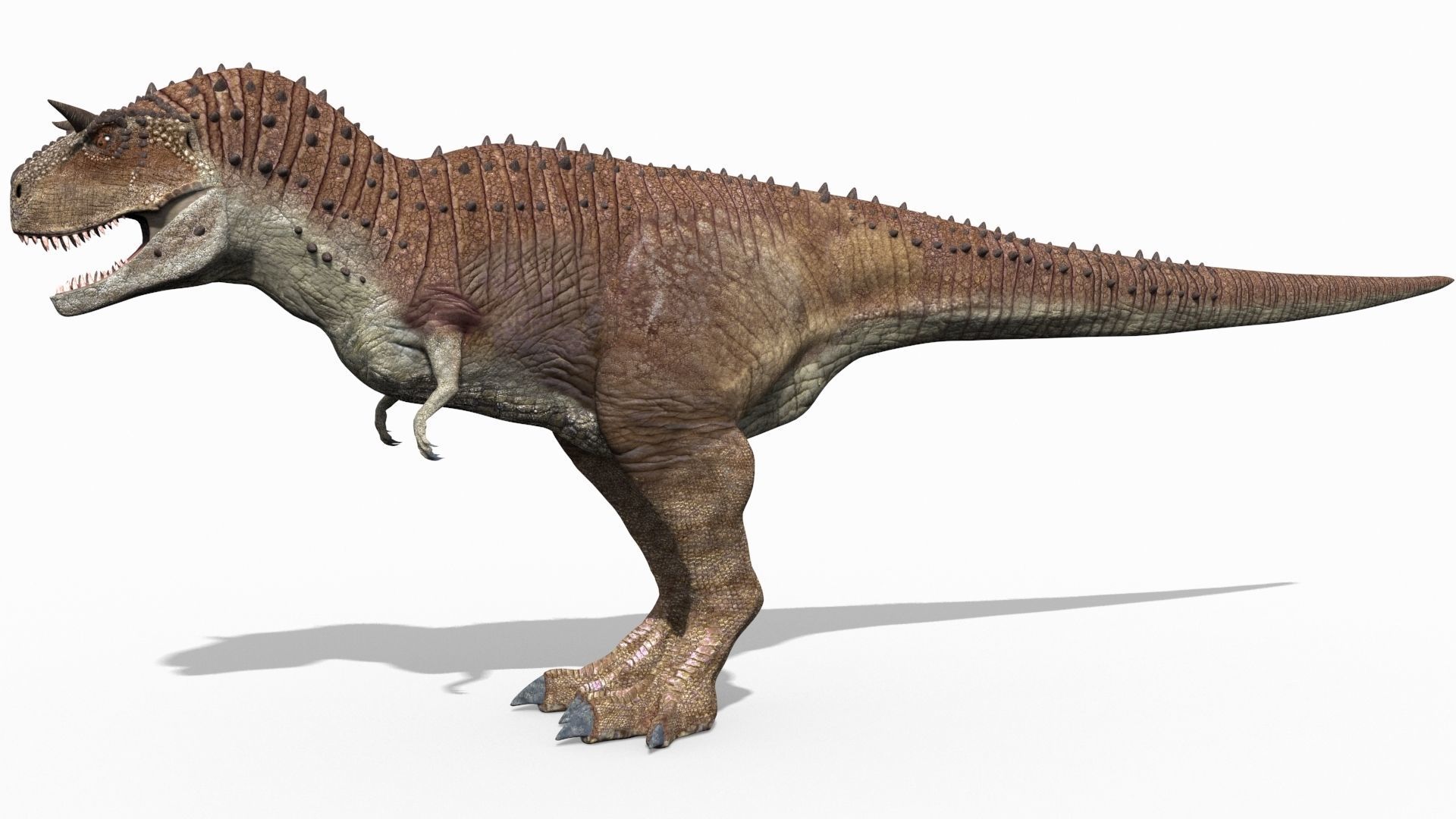 Carnotaur Forever - 8K 3D model_3