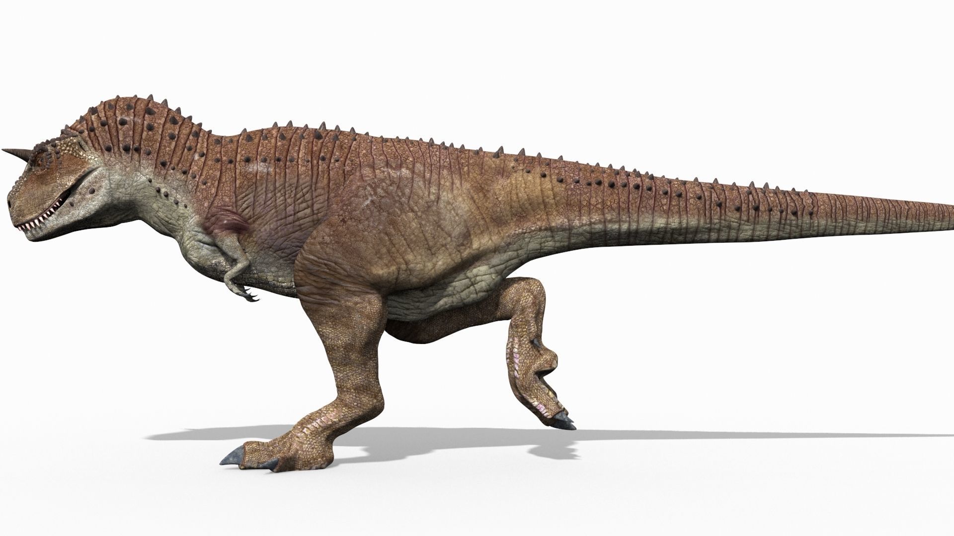 Carnotaur Forever - 8K 3D model_7