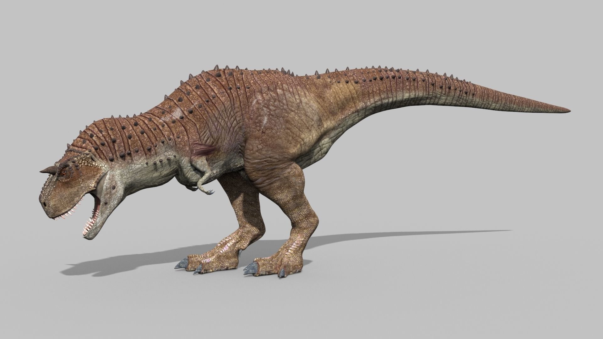 Carnotaur Forever - 8K 3D model_8