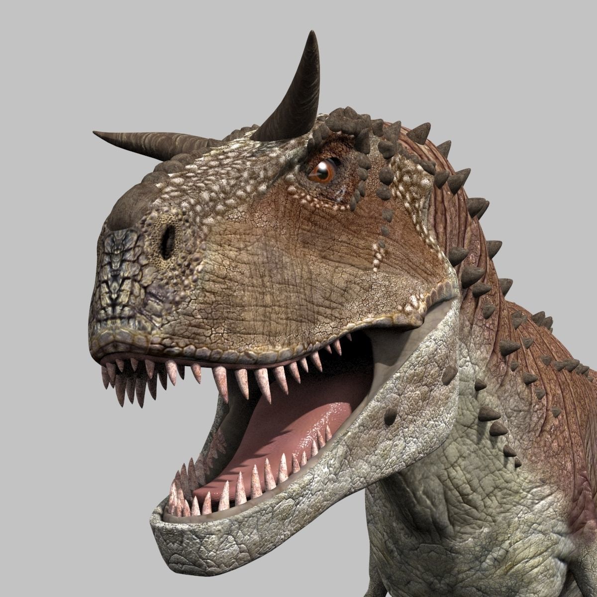 Carnotaur Forever - 8K 3D model_11