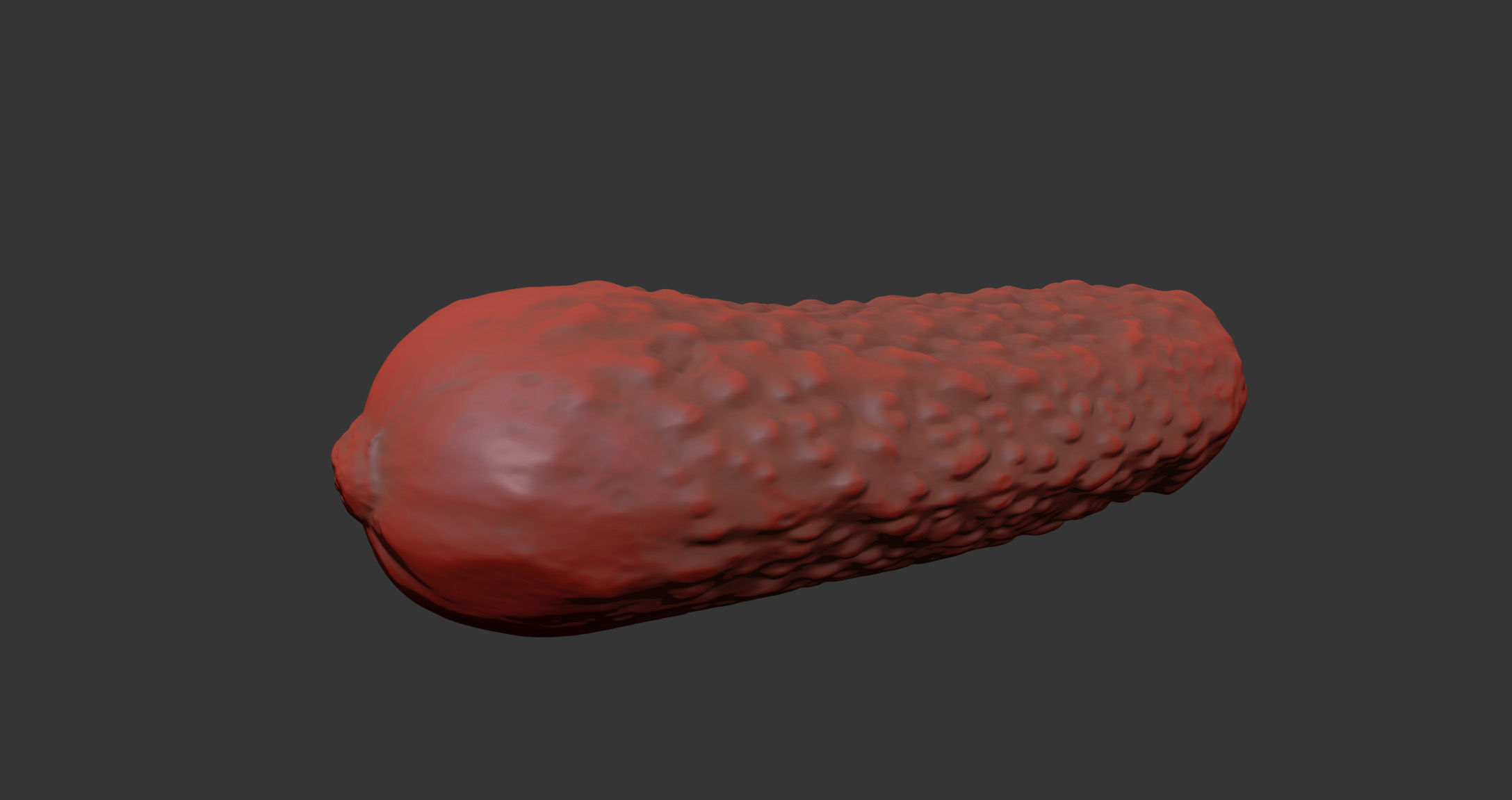 Cucumber 3D model_10