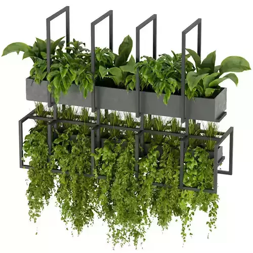Collection plant vol 311- Indoor - ampelous - hanging 3D model