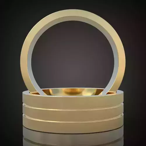 Mens  ring 3D 0073 printable model Free 3D print model