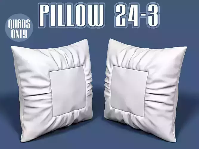 Pillow 24-3