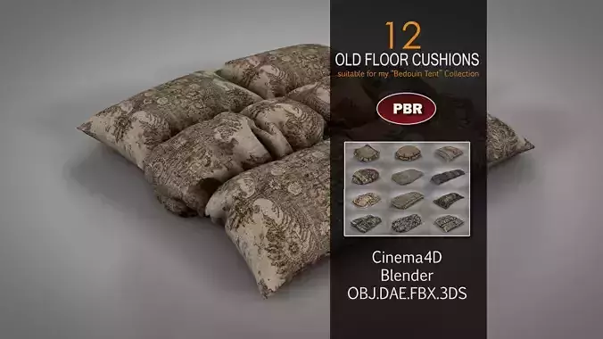 Old Floor Cushions 3D model