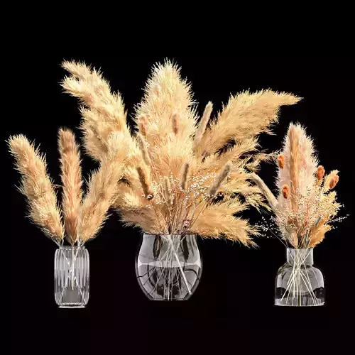 Dry Plants Bouquet Pampase Indoor Glass vase