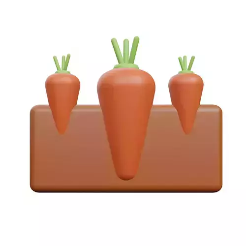 Carrot Plant or Carrot Garden