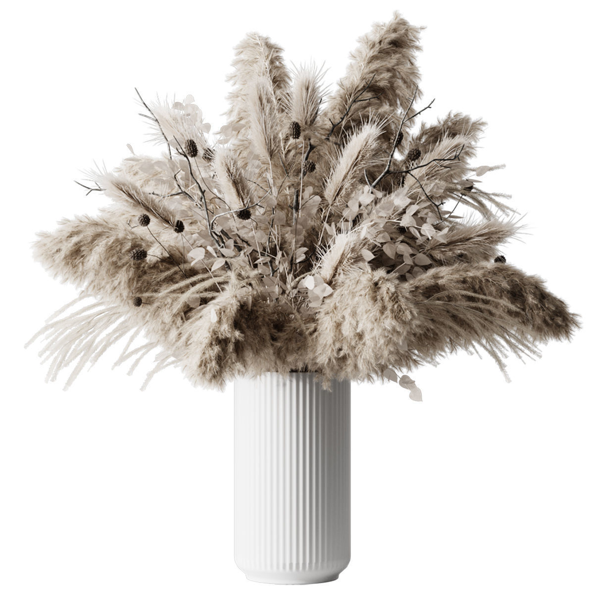 Dry Plants 3D model_1