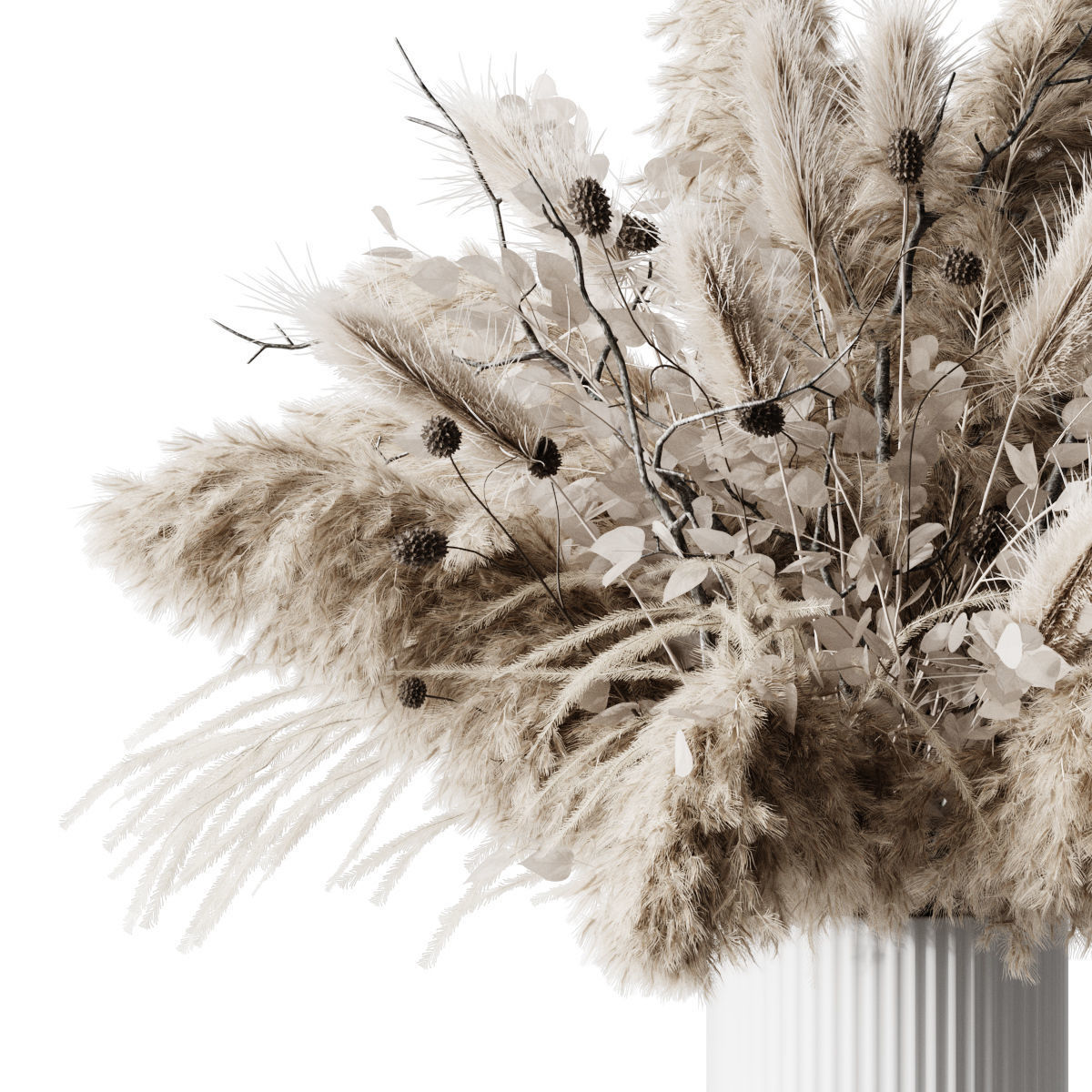 Dry Plants 3D model_2