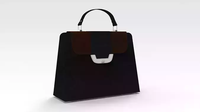 Black Leather Bag