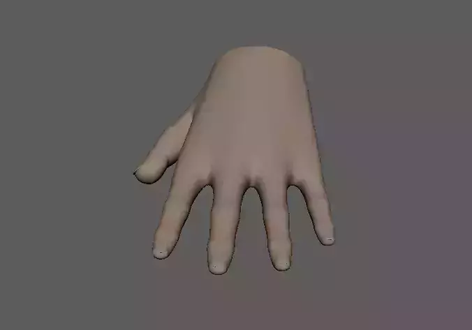 Realistic Human Hand