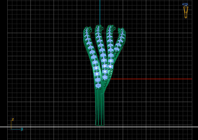 Women Ring 3DM Womens Ring 3d models 3D print model 3D print model_4