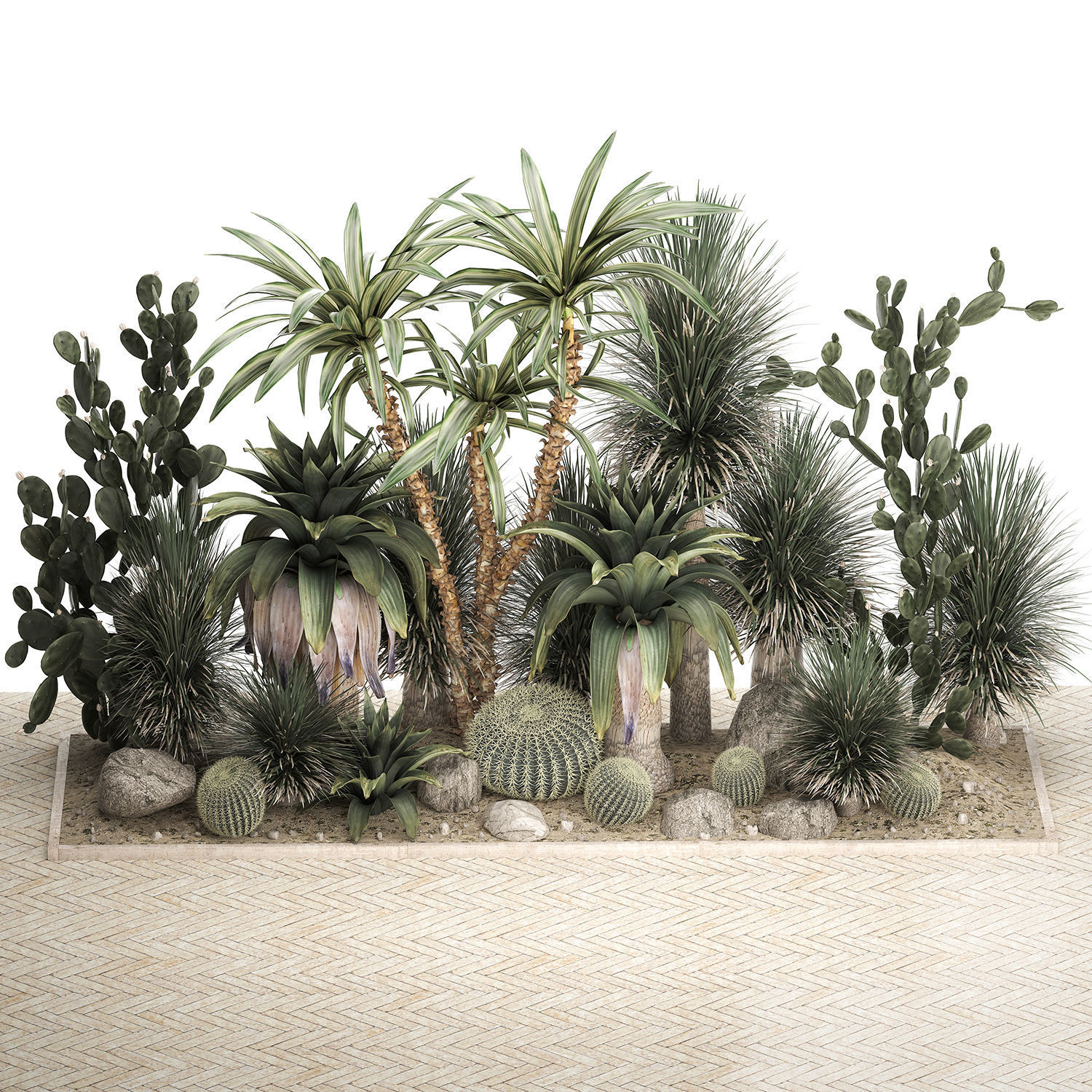 Collection of tropical desert plants cactus 1108 3D model_1