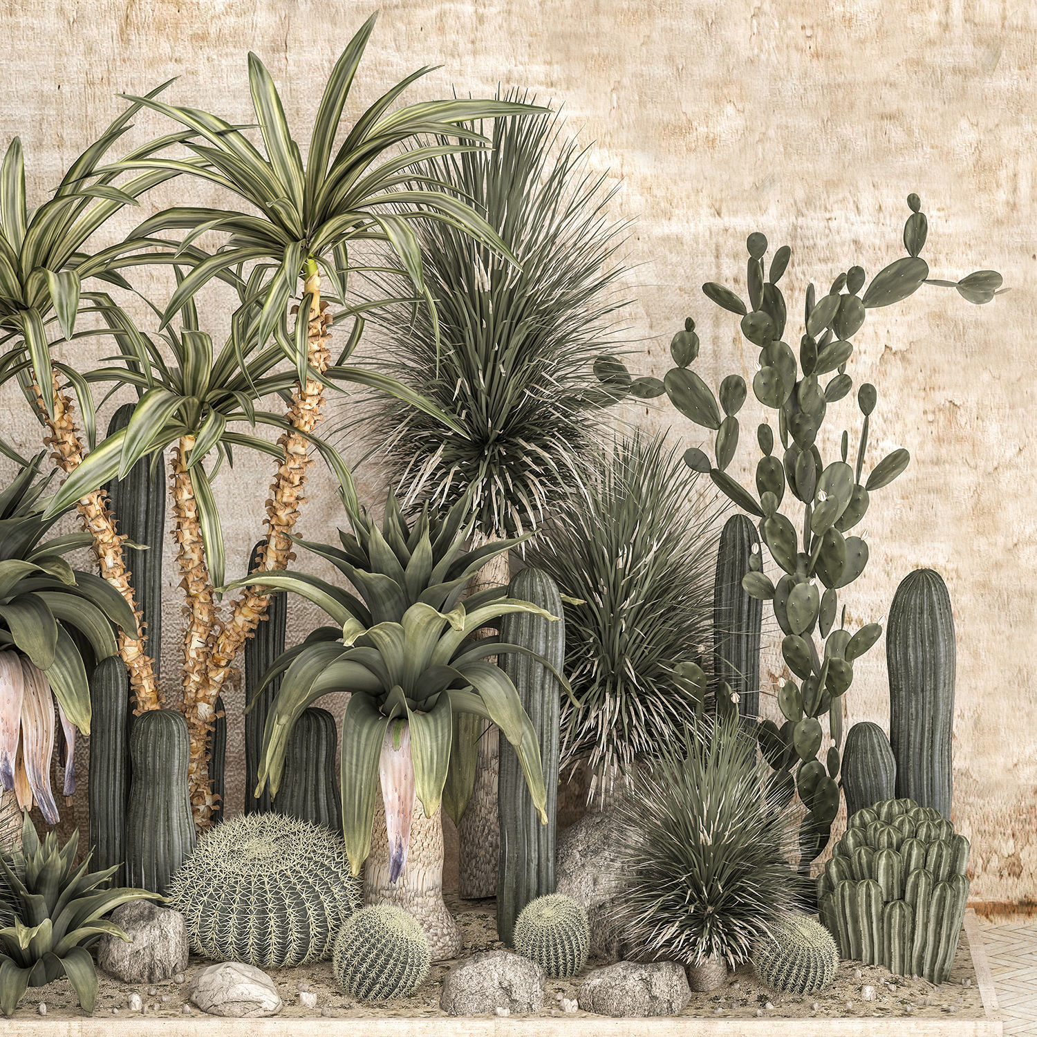 Collection of tropical desert plants cactus 1108A 3D model_3