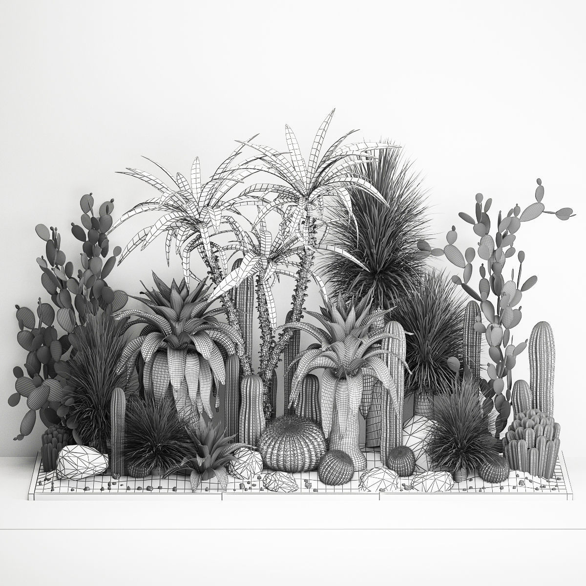 Collection of tropical desert plants cactus 1108A 3D model_6