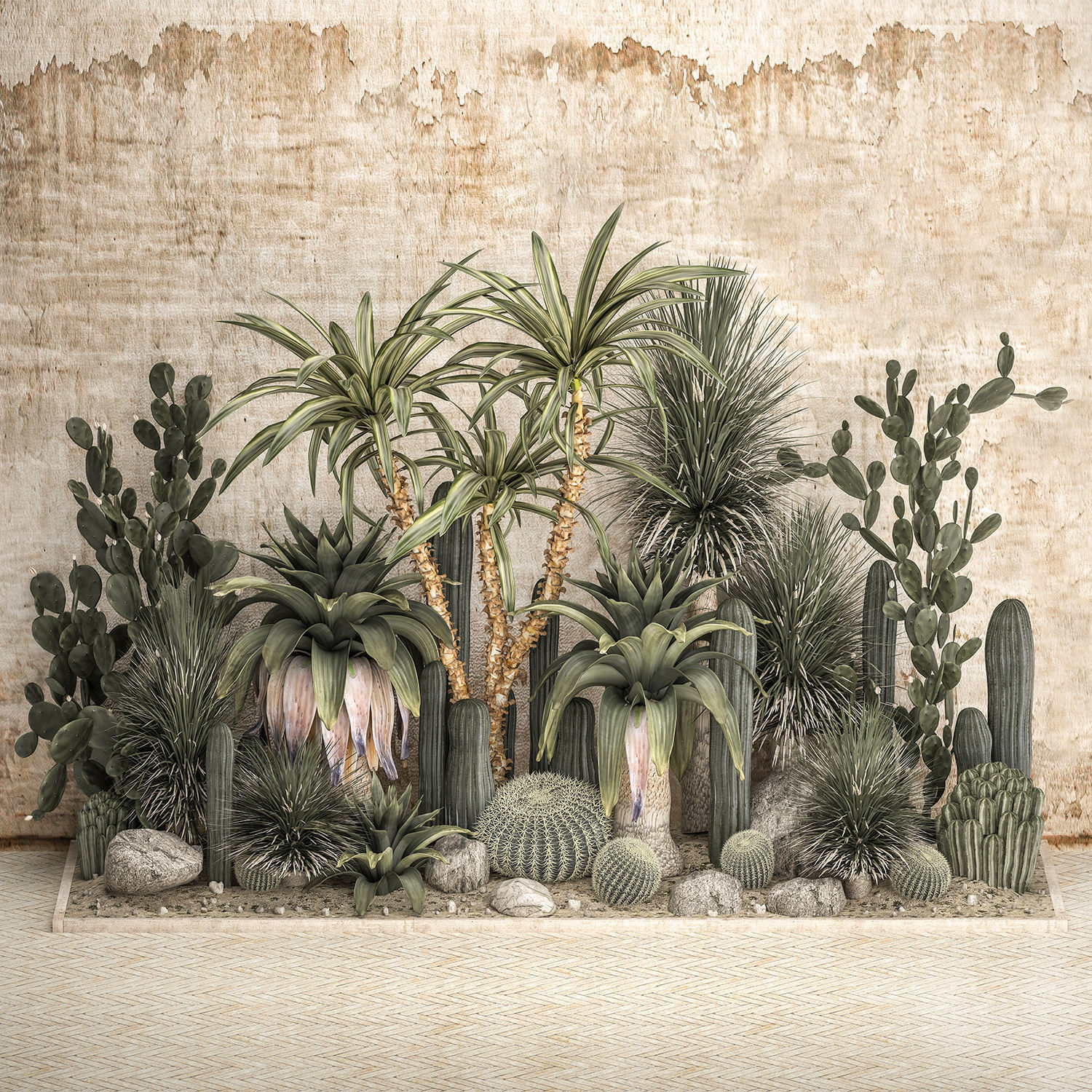 Collection of tropical desert plants cactus 1108A 3D model_0