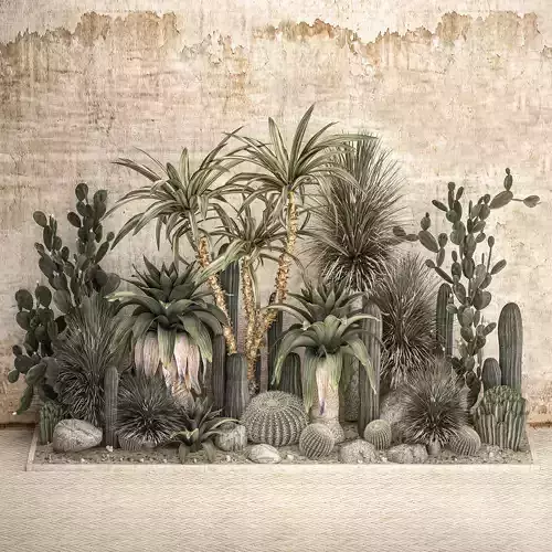 Collection of tropical desert plants cactus 1108A 3D model