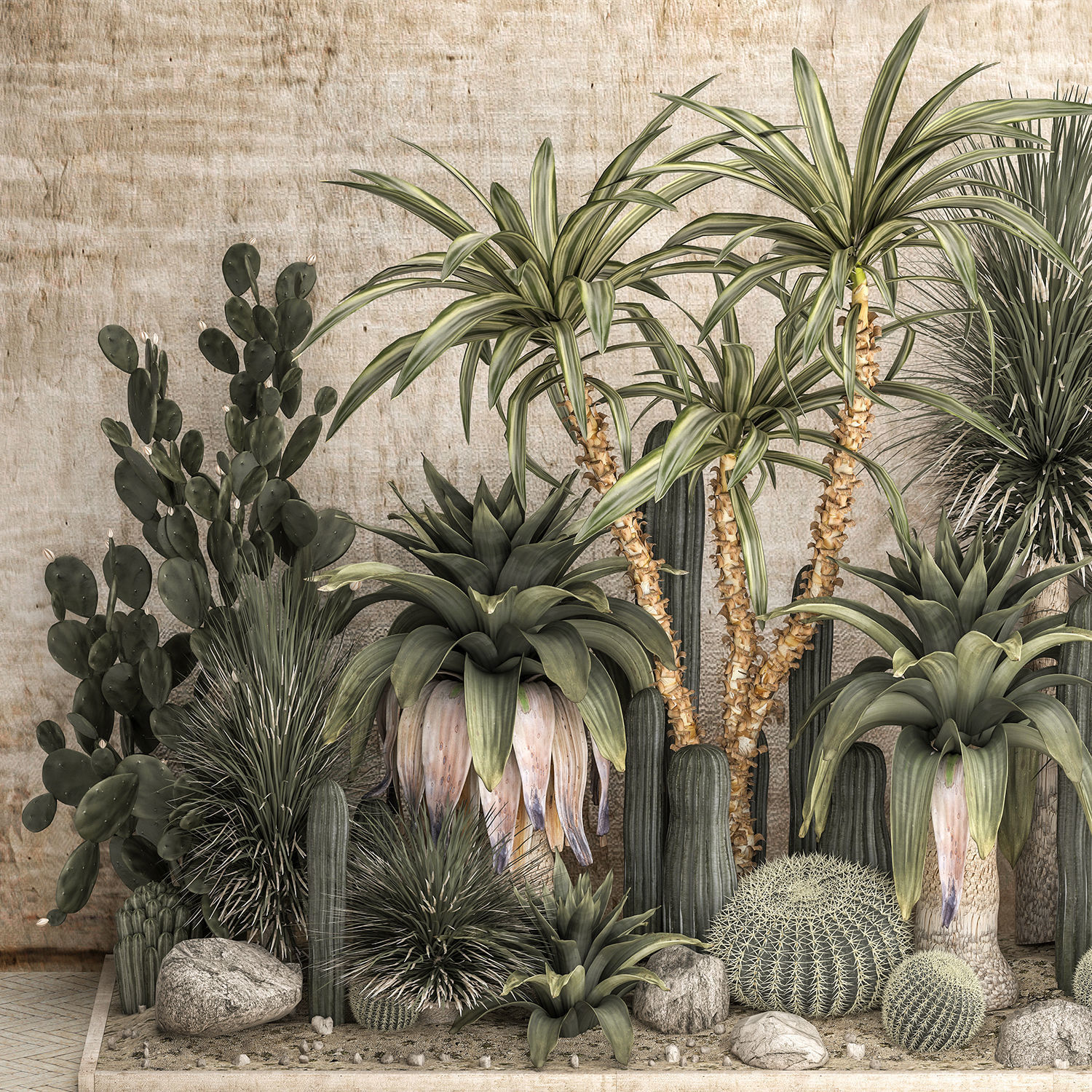 Collection of tropical desert plants cactus 1108A 3D model_1
