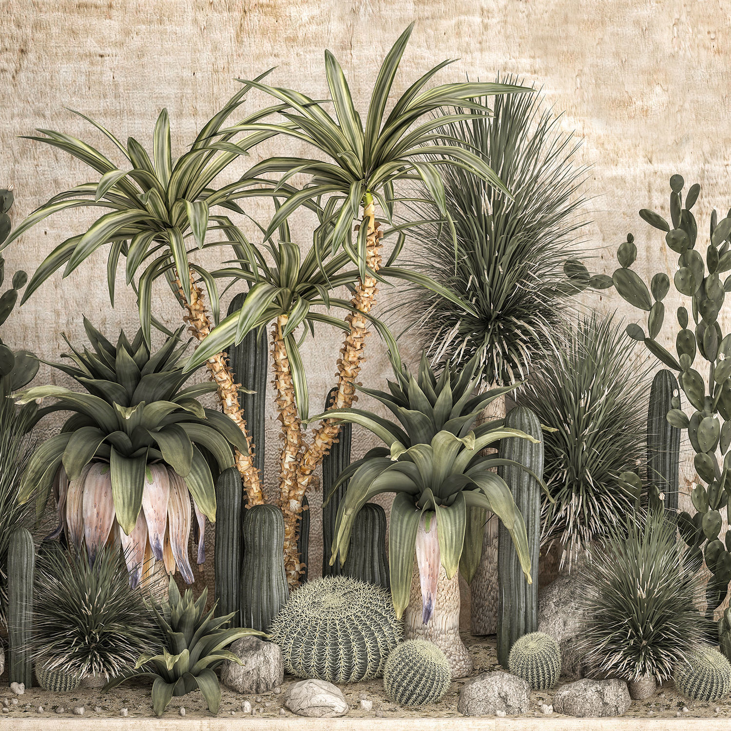 Collection of tropical desert plants cactus 1108A 3D model_4