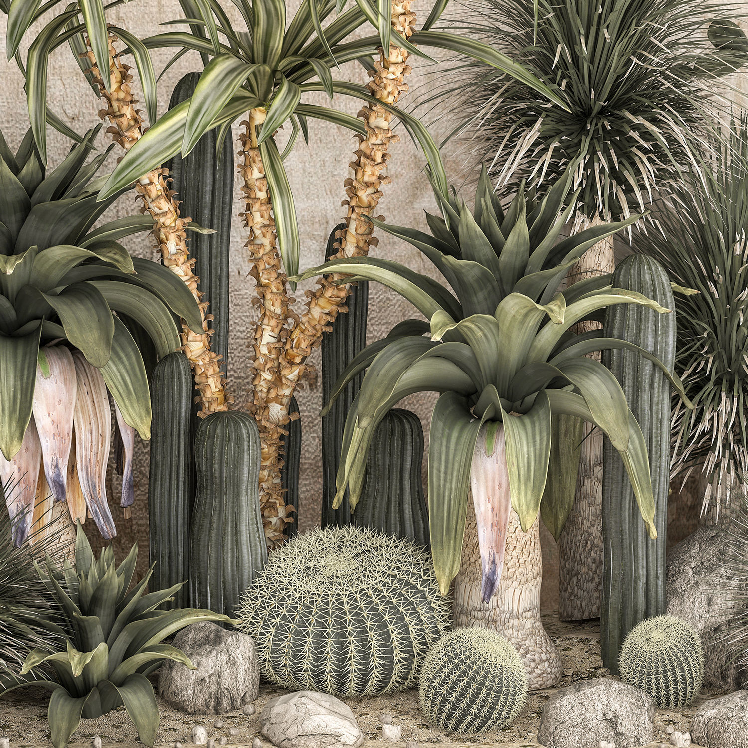 Collection of tropical desert plants cactus 1108A 3D model_2