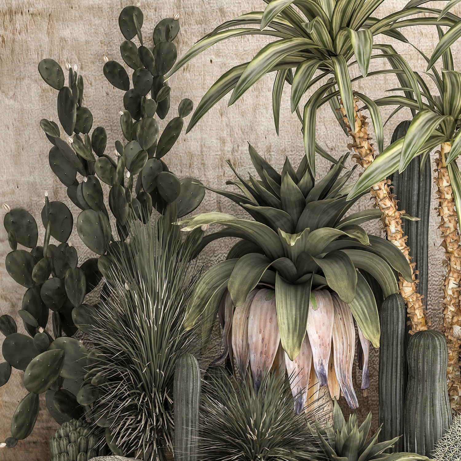 Collection of tropical desert plants cactus 1108A 3D model_5