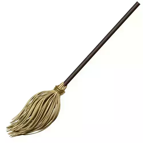 Broom with wooden handle