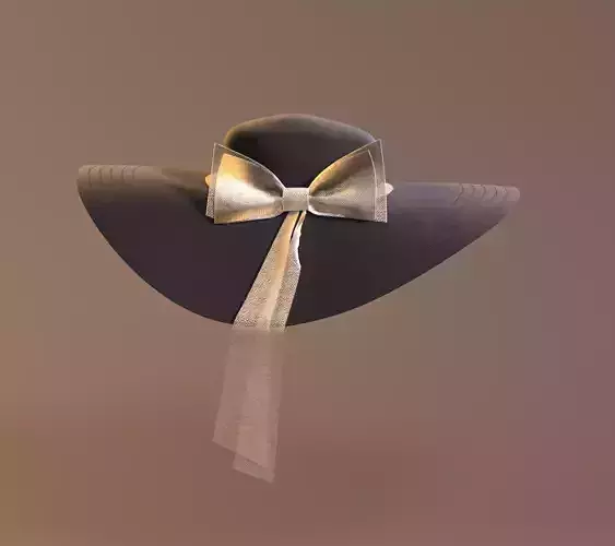 HAT fashion accessory